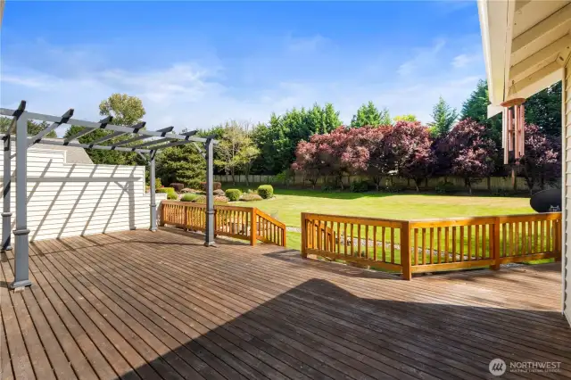 Large Back Deck