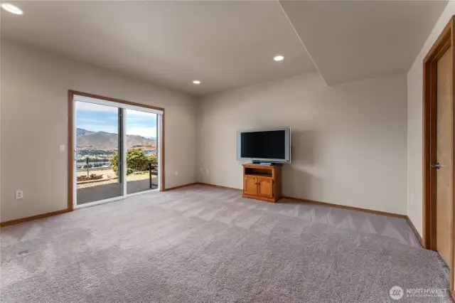 Bedroom #2 on lower level with large walk-in closet and sliding glass door out to the patio.