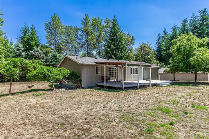 Fruit trees in back yard.