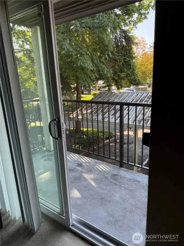 Balcony view from inside
