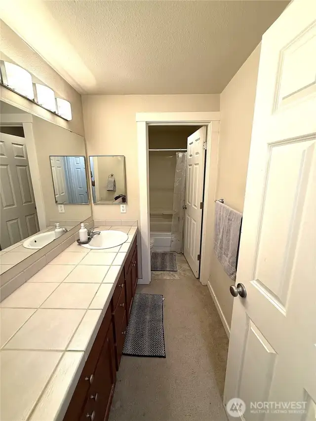 Bathroom 1 sink and counter top