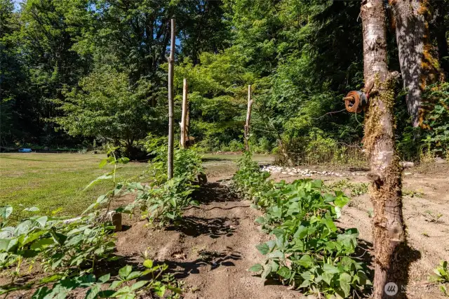 Garden Space