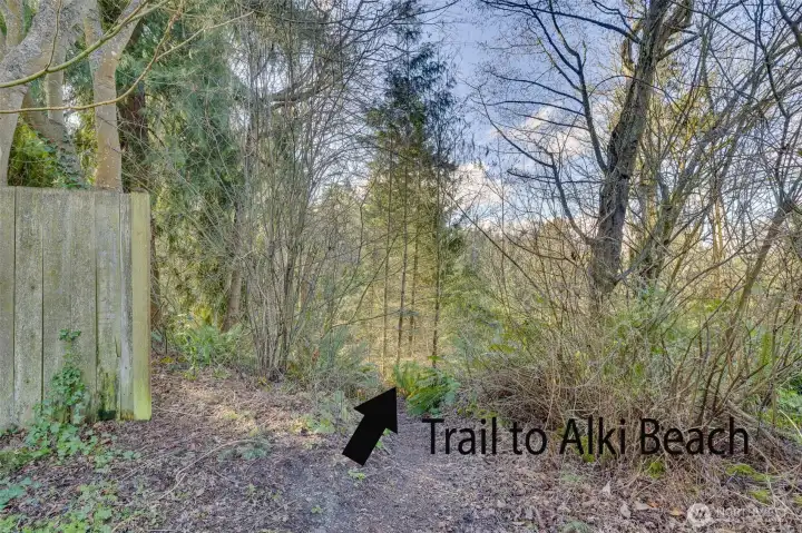 Trail to Alki Beach just steps from your front door