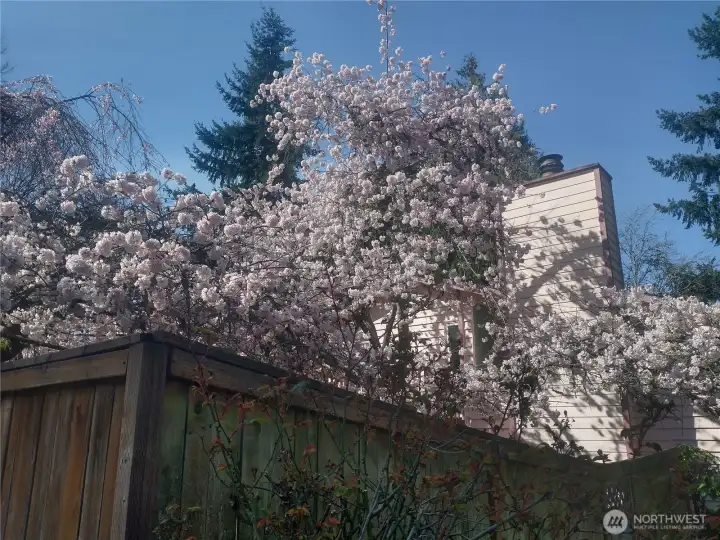 View of corner lot from street