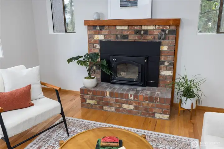 Wood burning stove fireplace, with large viewing window.