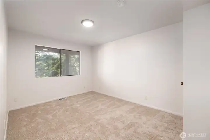 Lower level front bedroom.