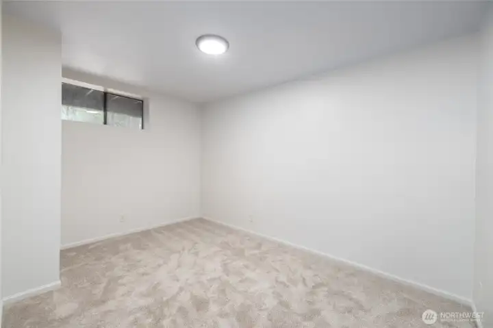 Lower level back bedroom.