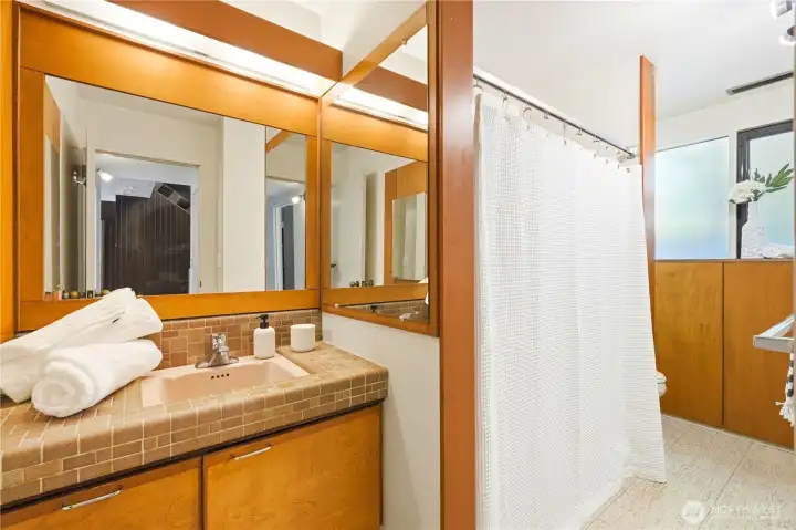 The full bath on the lower level.