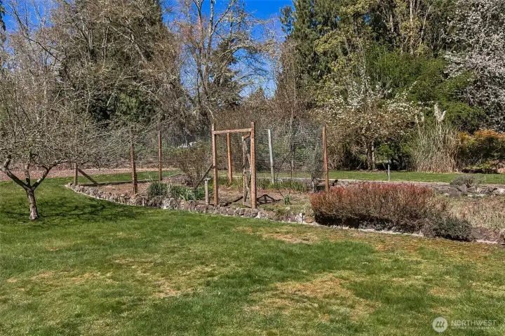 Spacious backyard with a Fully-fenced Garden! Plus blueberry bushes and an apple tree! Enjoy the deer, bunnies, birds, and more!