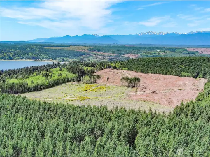 58 acres ready for your dreams to come true. This incredible property could be used for many purposes. Ready for your equestrian facility, commercial gardens or just watch the recent Douglas fir plantings grow into a forest for future harvest. Located near the Hood Canal Bridge, it's your base camp for the Olympic Peninsula adventures. Once your cross the bridge, your peace of mind will bring your blood pressure down ! 58 acres ready for your dreams to come true. This incredible property could be used for many purposes. Ready for your equestrian facility, commercial gardens or just watch the recent Douglas fir plantings grow into a forest for future harvest. Located near the Hood Canal Bridge, it's your base camp for the Olympic Peninsula adventures. Once your cross the bridge, your peace of mind will bring your blood pressure down !