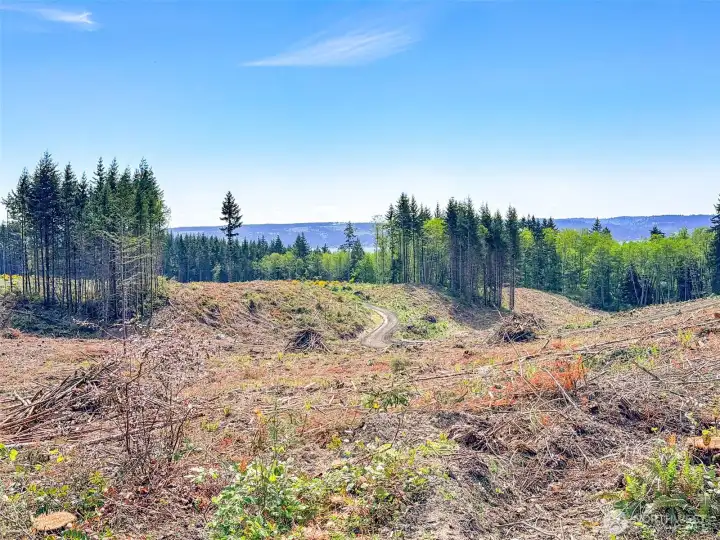 Rolling topography with Cascade Mtn & Hood Canal views. Rolling topography with Cascade Mtn & Hood Canal views.