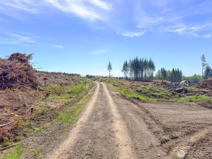 established roads throughout the property. established roads throughout the property.