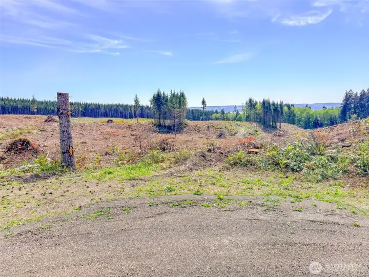Many potential homesites . Many potential homesites .