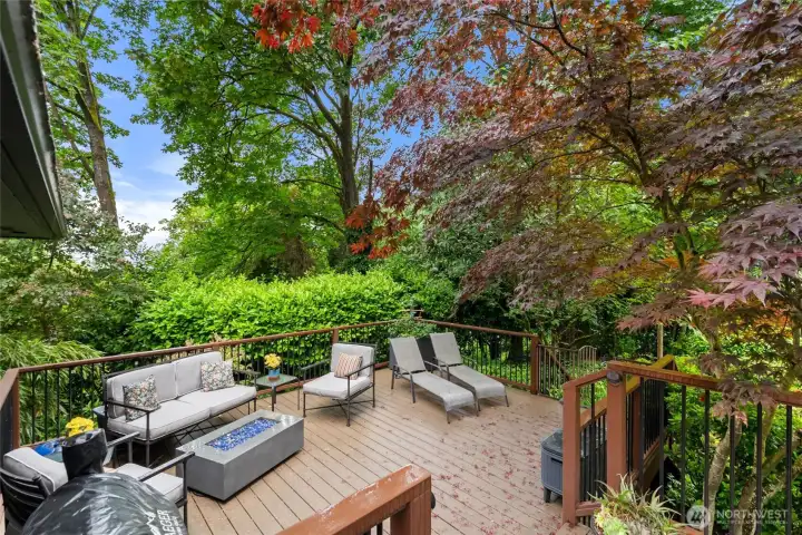 Enjoy the spacious deck - perfect for entertaining or relaxing! Enjoy the spacious deck - perfect for entertaining or relaxing!