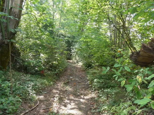 Meandering wooded trail runs along the river ~ easy to preview all available sites.