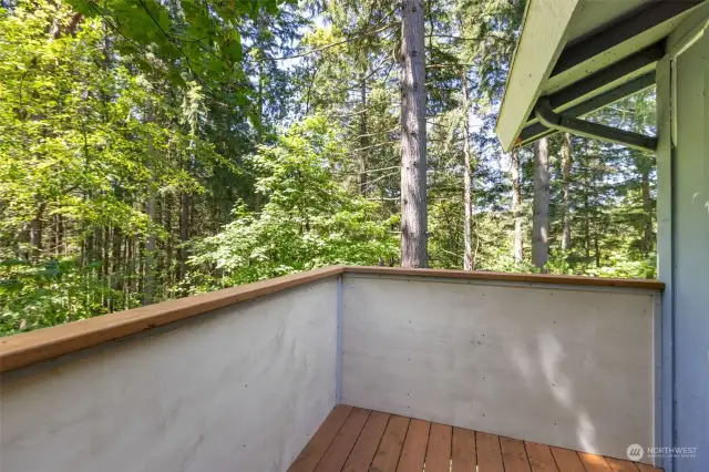 Seemingly private decks immersed in nature. Another living space for yoga, reading or outdoor table for eating and entertaining. Rare for an in town apartment offering these beautiful views!