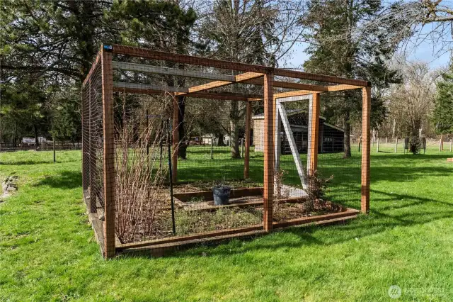 Garden space