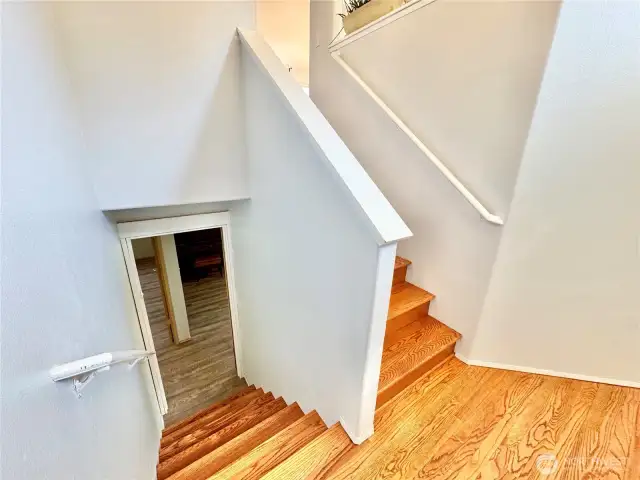 Entry Lower Level Stairs