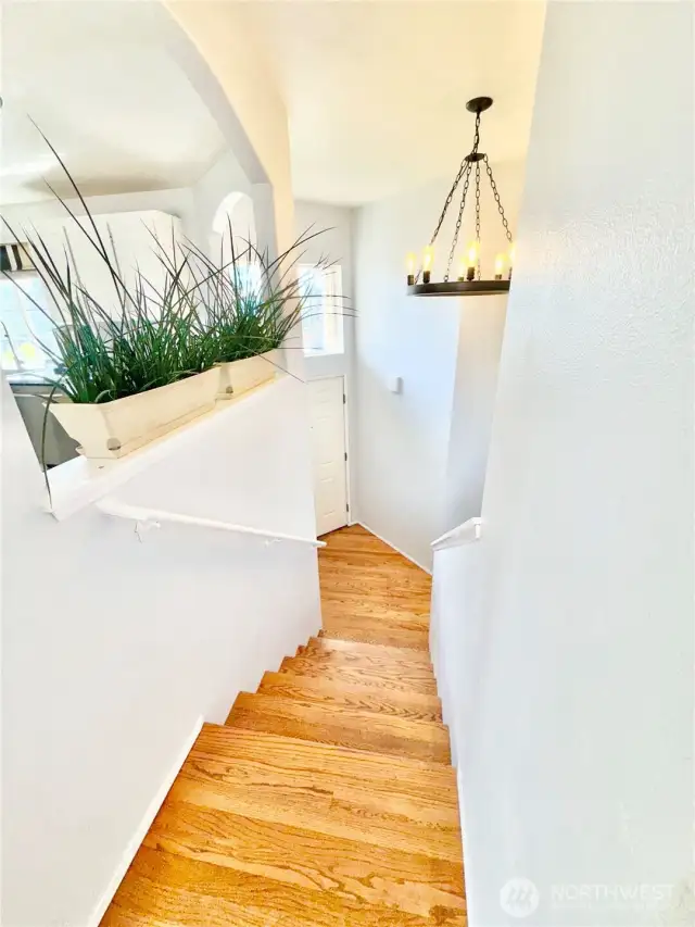 Hardwood Entry