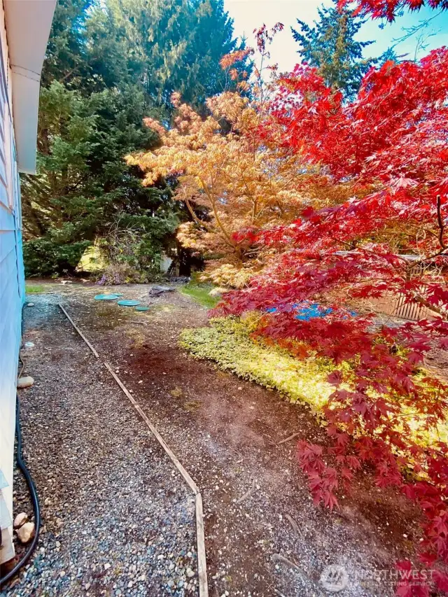 Trail Around the back of Home