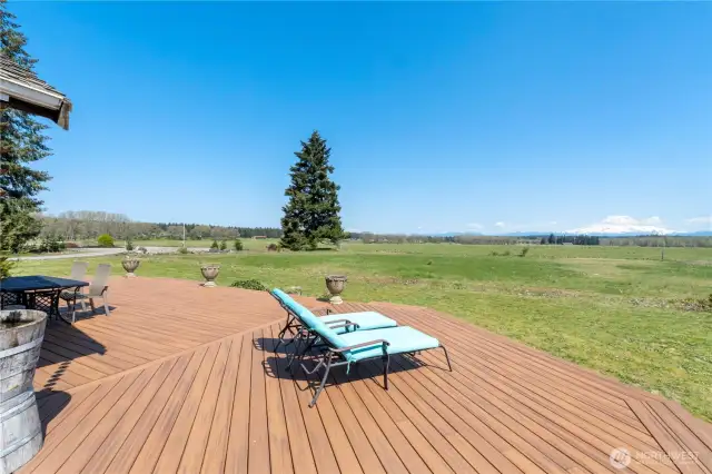 Absolutely gorgeous unobstructed view of Mt. Rainier!