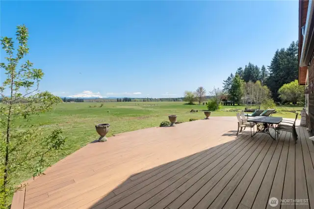 Sip morning coffee, sunbathe, or entertain guests out on this massive deck.