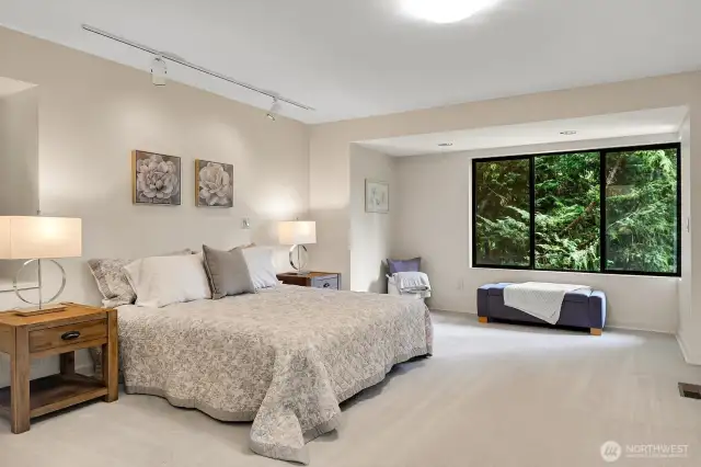 Spacious Primary bedroom in upper level.