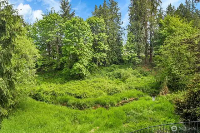 Such a beautiful outlook of the meadow and Allen Creek from this unique property!