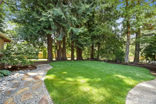 Fully Fenced Backyard features slate path leading to gardending shed