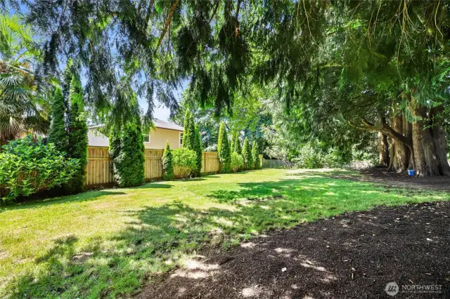 Sunny area of backyard is perfect for garden beds or a dog run