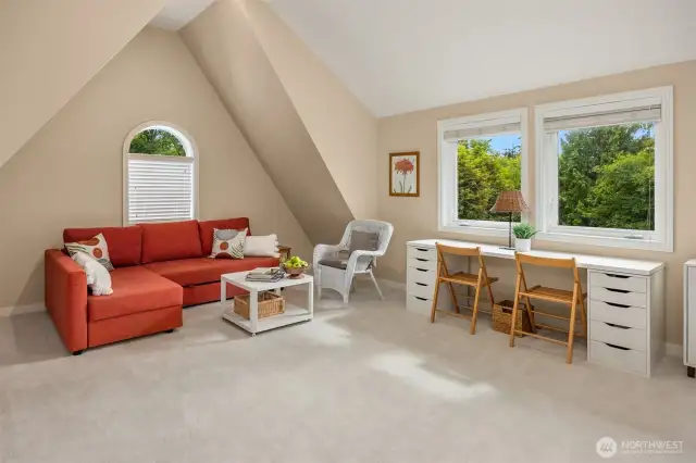 Bonus room with soaring cathedral ceilings, and a massive walk-in storage room.