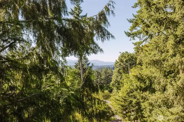 Here's the peek a boo mountain view!