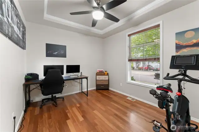 Bonus Room Or Office