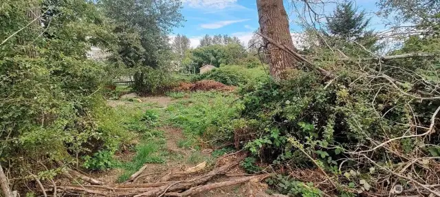 405