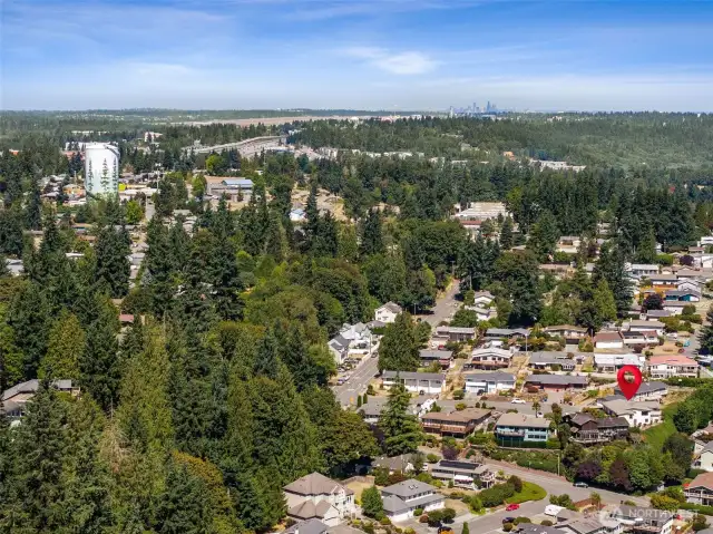 Looking north towards Seattle in the distance. Interstate 5 and the new Sound Transit to the right of the water tower.
