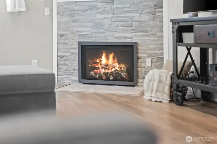 Gas fireplace
