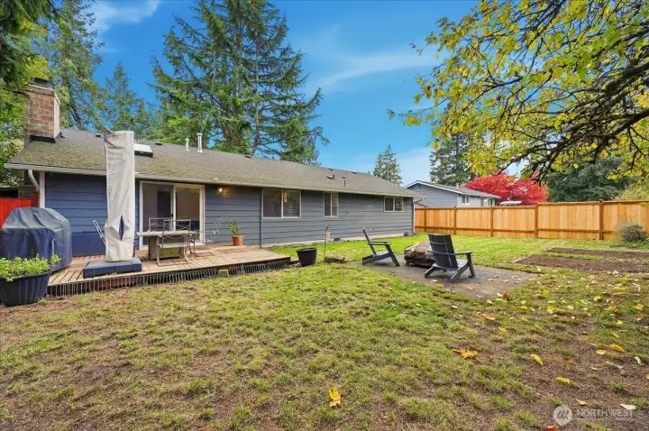 Large Sunny Backyard