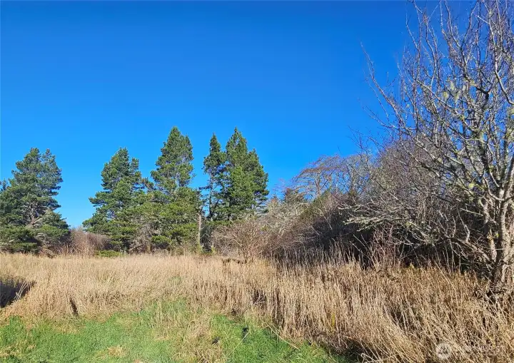 Lots of space on the second one acre lot for your development.