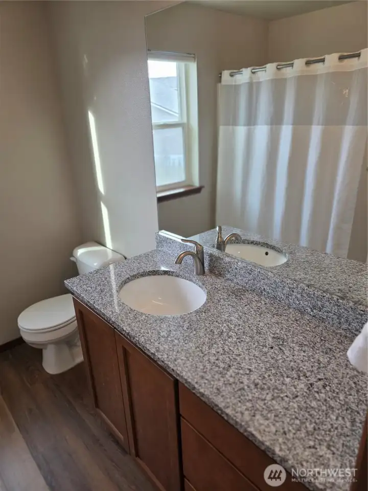 Guest bathroom