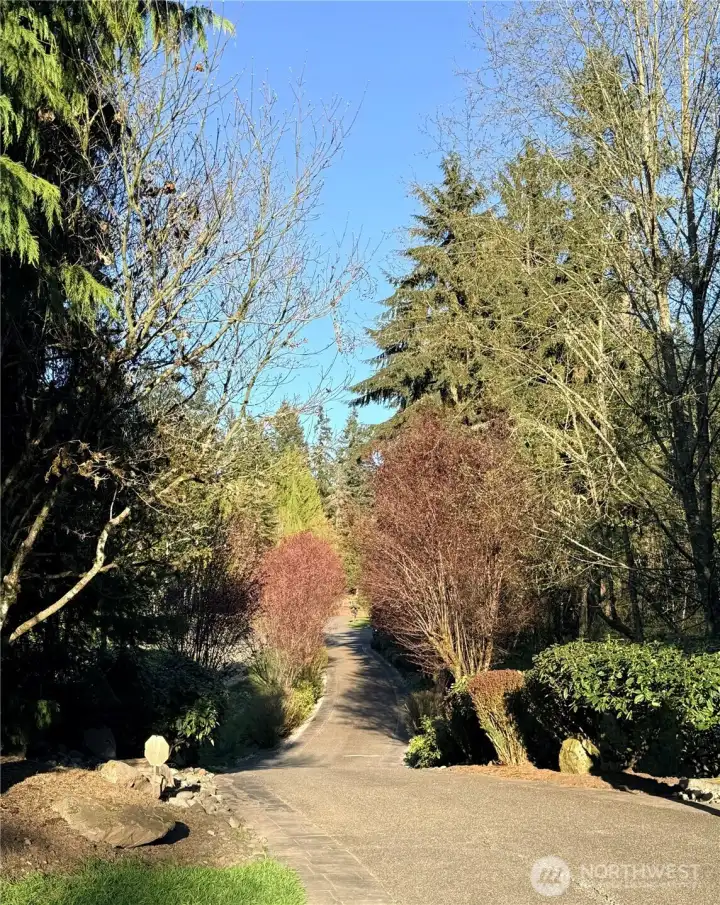 A 200-ft private driveway—your gateway to serenity and peace of mind