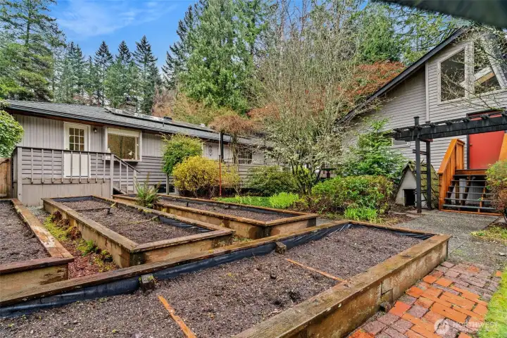 Beautiful Rear Yard