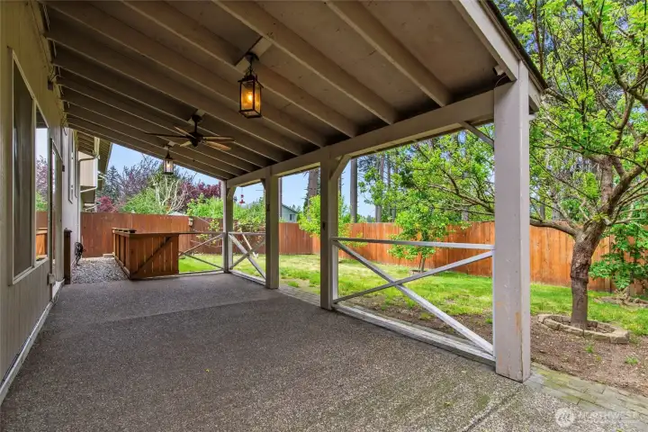 Contractor grade covered back patio.