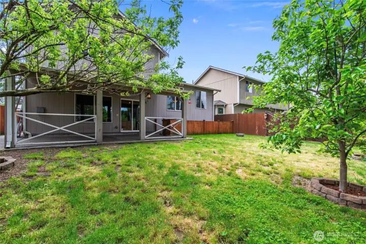 Yard with dog run and fruit trees.