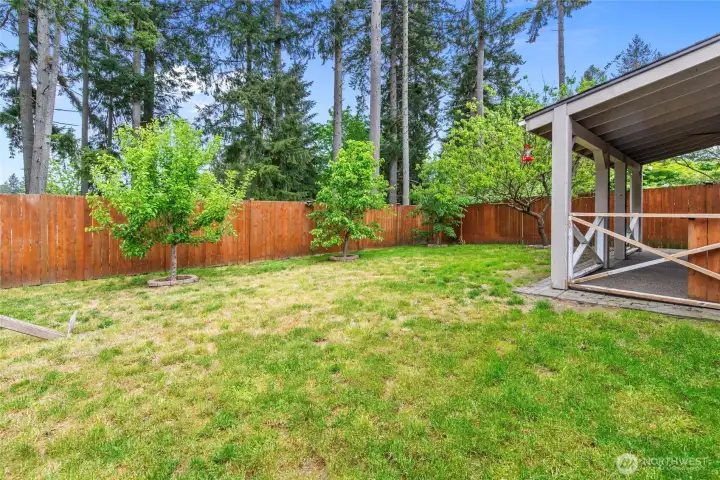 View of fruit trees.