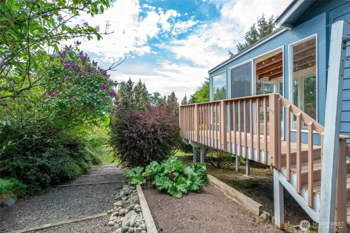 Side yard garden -rhubarb pie anyone?