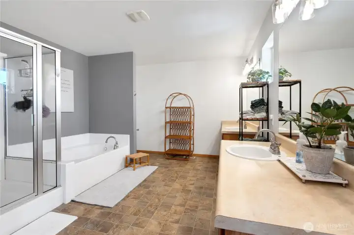 Luxurious Primary Bathroom W/ Walk-in and additional closet