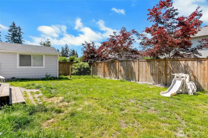 Spacious Backyard