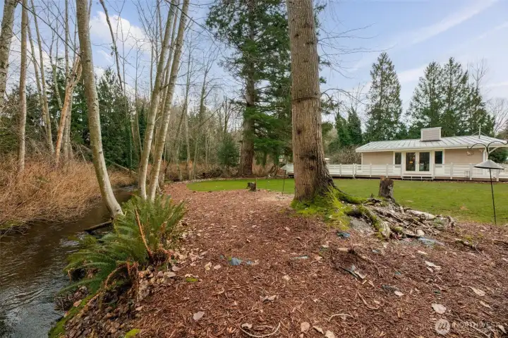 Complete relaxation available here!