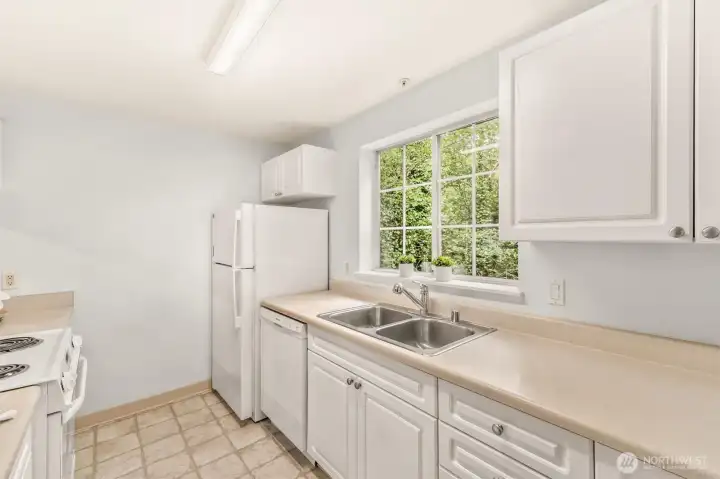 Kitchen window has a lush view.