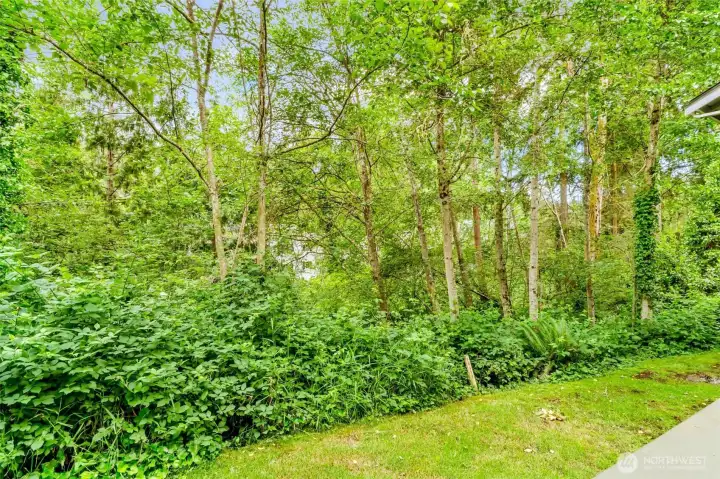 Green belt.  Privacy restored forever.